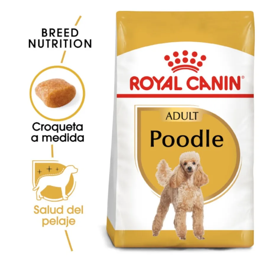 Royal Canin Adult Poodle pienso para perros Hot