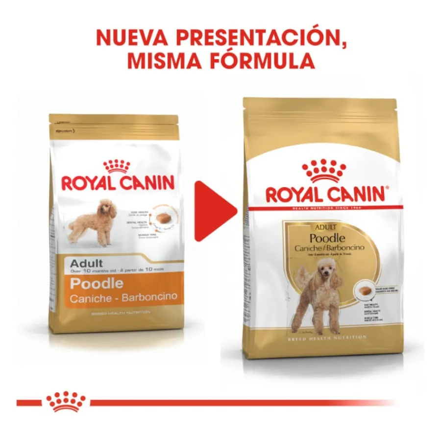 Royal Canin Adult Poodle pienso para perros Hot