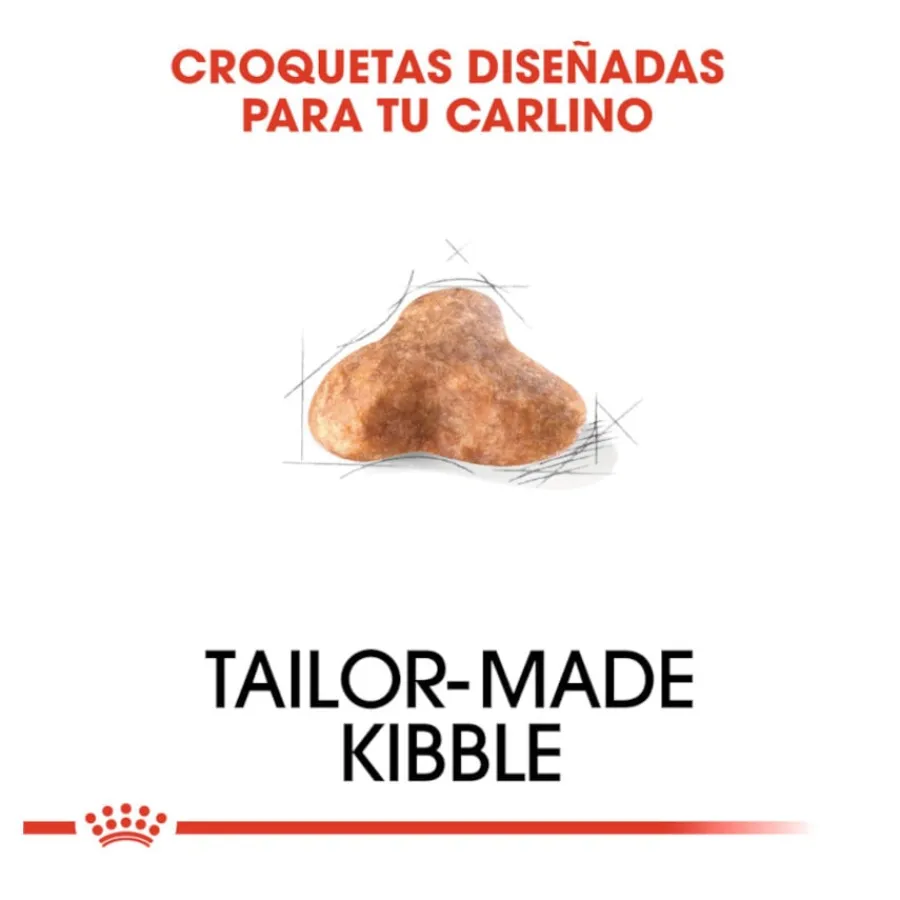 Royal Canin Adult Pug pienso para perros Discount