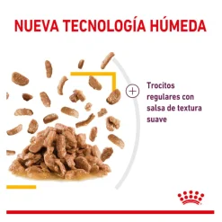 Royal Canin Adult Sensory Taste salsa sobre para gatos Best