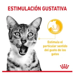 Royal Canin Adult Sensory Taste salsa sobre para gatos Best
