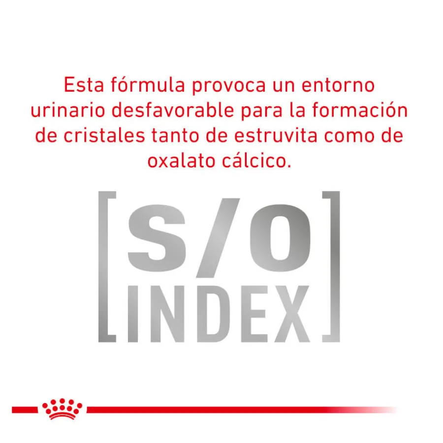 Royal Canin Adult Veterinary Urinary mousse sobre para gatos Clearance