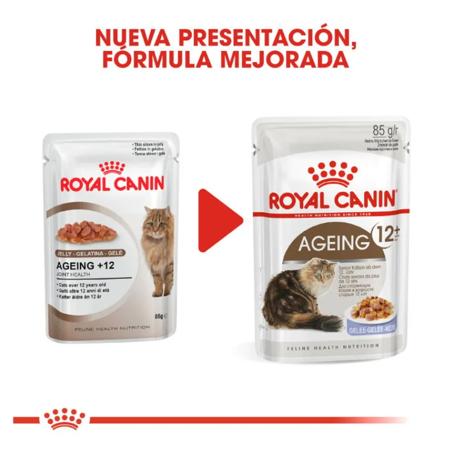 Royal Canin Ageing 12+ gelatina sobres para gatos Discount
