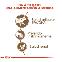 Royal Canin Ageing 12+ gelatina sobres para gatos Discount