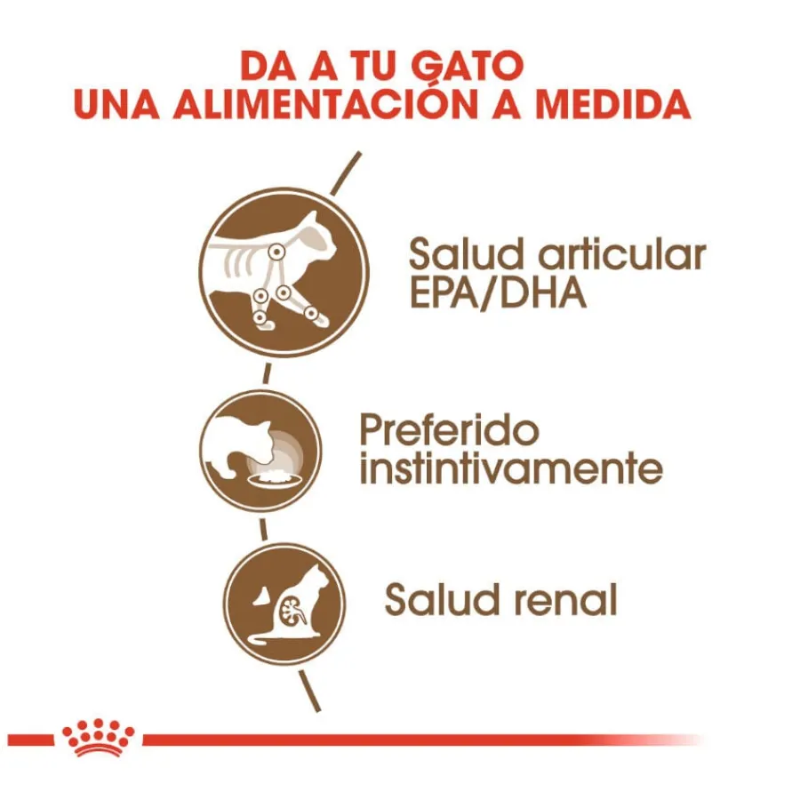 Royal Canin Ageing 12+ gelatina sobres para gatos Discount