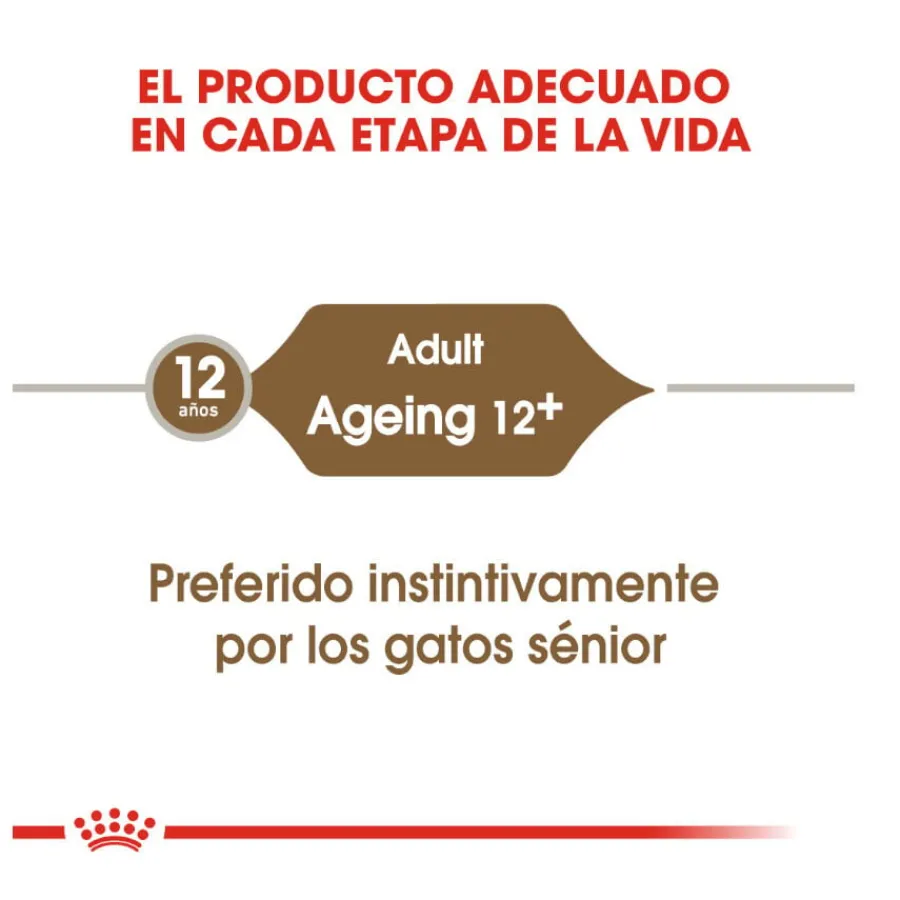 Royal Canin Ageing 12+ gelatina sobres para gatos Discount