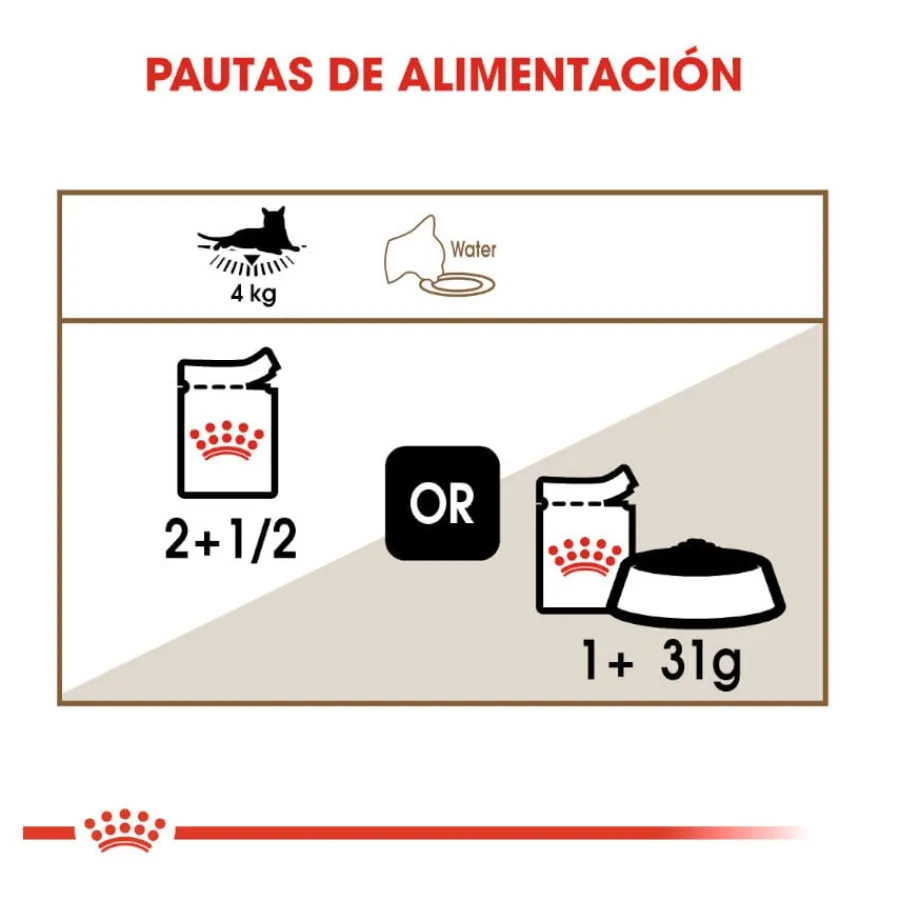 Royal Canin Ageing 12+ gelatina sobres para gatos Discount