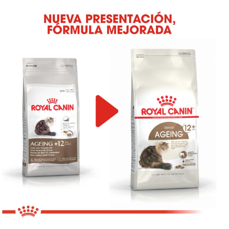 Royal Canin Ageing 12+ pienso para gatos Hot