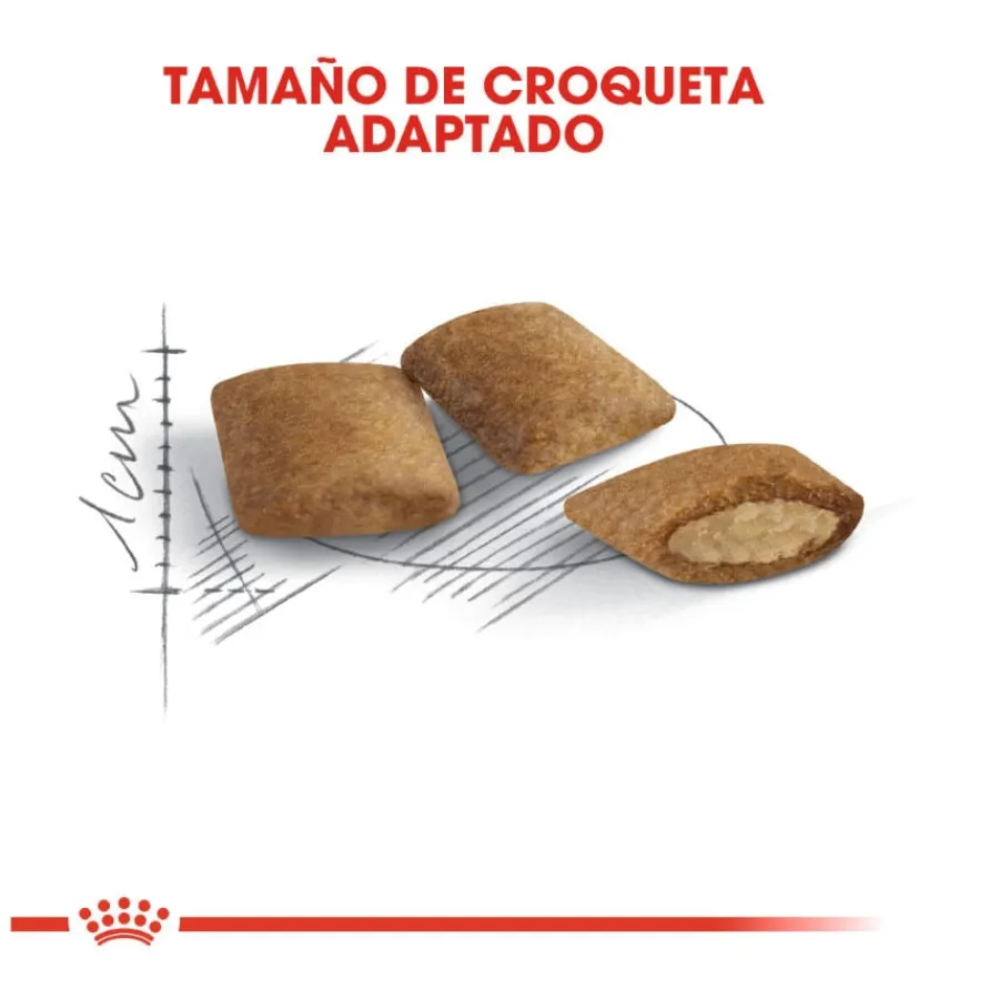 Royal Canin Ageing 12+ pienso para gatos Hot