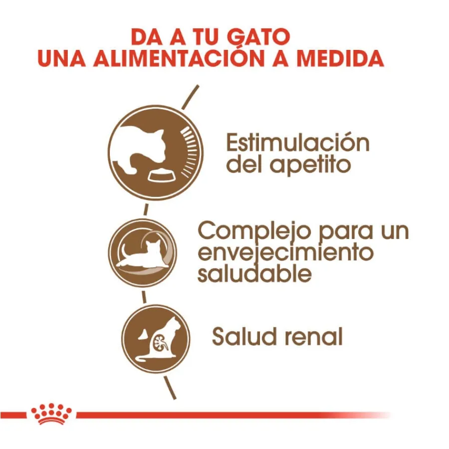 Royal Canin Ageing 12+ pienso para gatos Hot