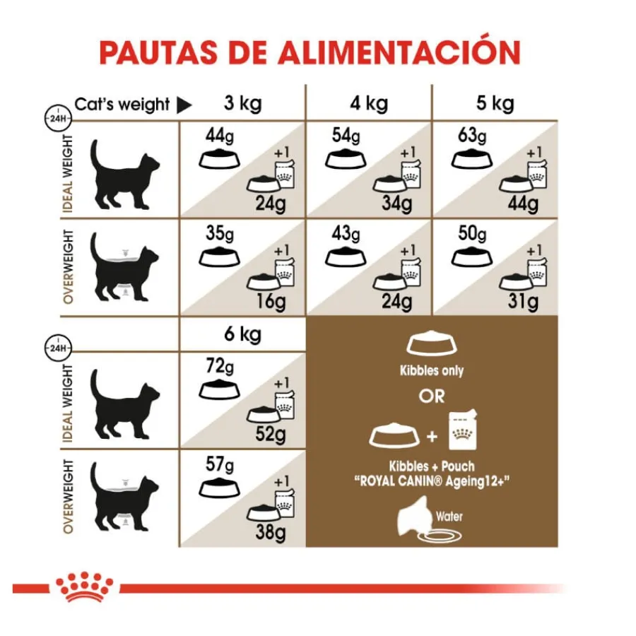 Royal Canin Ageing 12+ pienso para gatos Hot