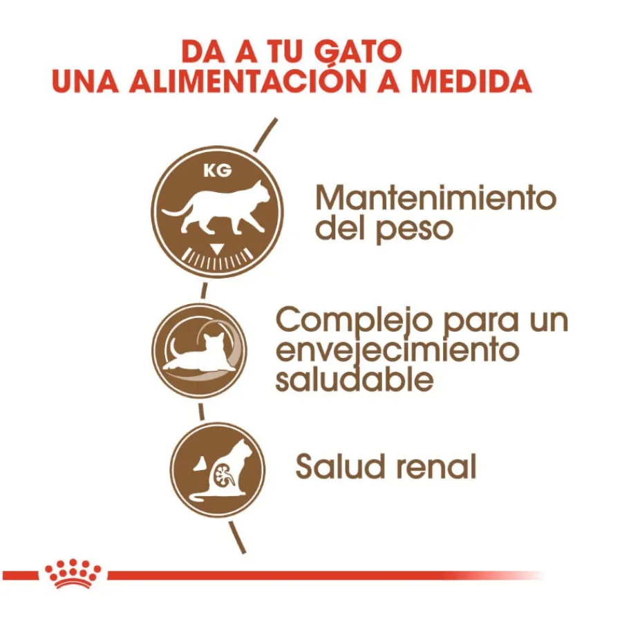 Royal Canin Ageing 12+ Sterilised pienso para gatos Discount