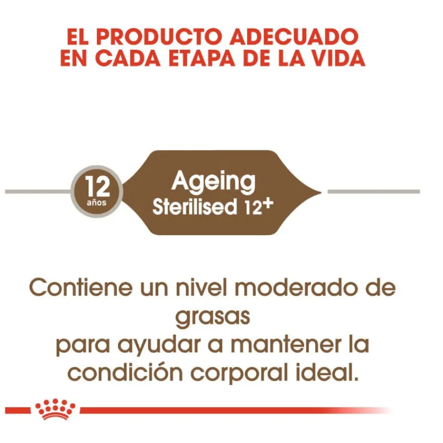 Royal Canin Ageing 12+ Sterilised pienso para gatos Discount