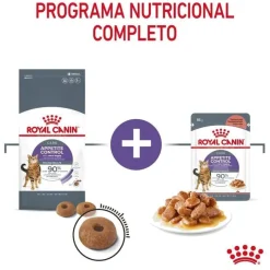 Royal Canin Appetite Control Care pienso para gatos Hot