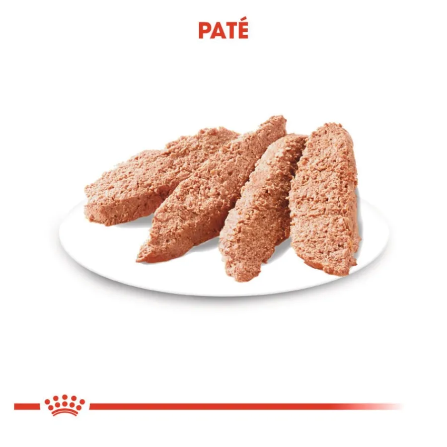 Royal Canin Dermacomfort Sobres Paté para perros Discount