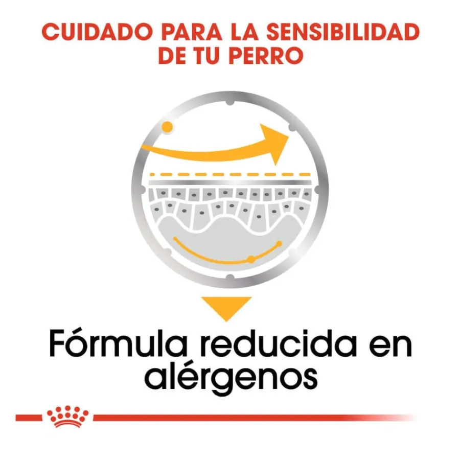 Royal Canin Dermacomfort Sobres Paté para perros Discount