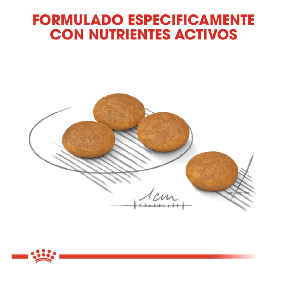 Royal Canin Dermacomfort Mini pienso para perros Discount
