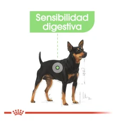 Royal Canin Digestive Care Paté sobres para perros Clearance