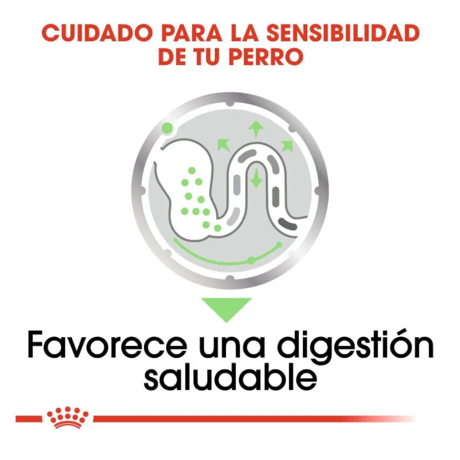 Royal Canin Digestive Care Paté sobres para perros Clearance