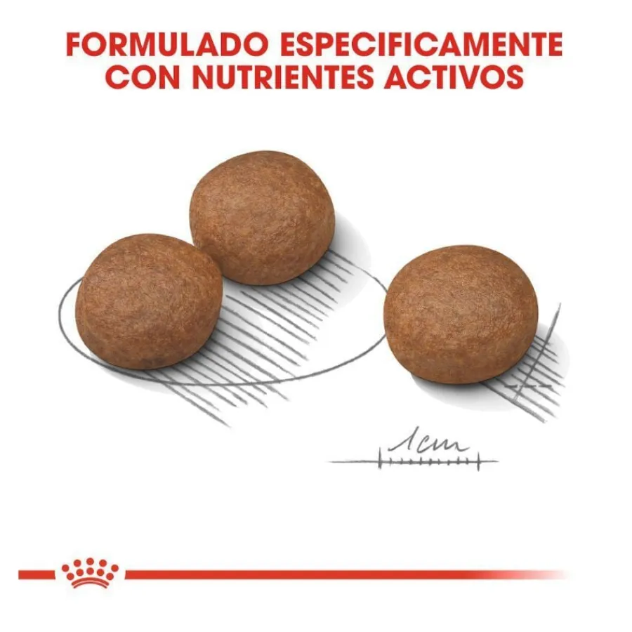 Royal Canin Digestive Care Medium pienso para perros Outlet