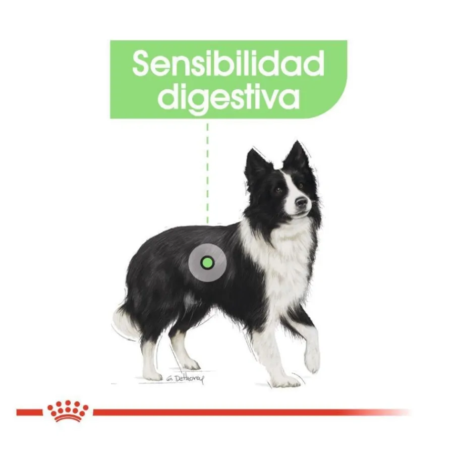 Royal Canin Digestive Care Medium pienso para perros Outlet