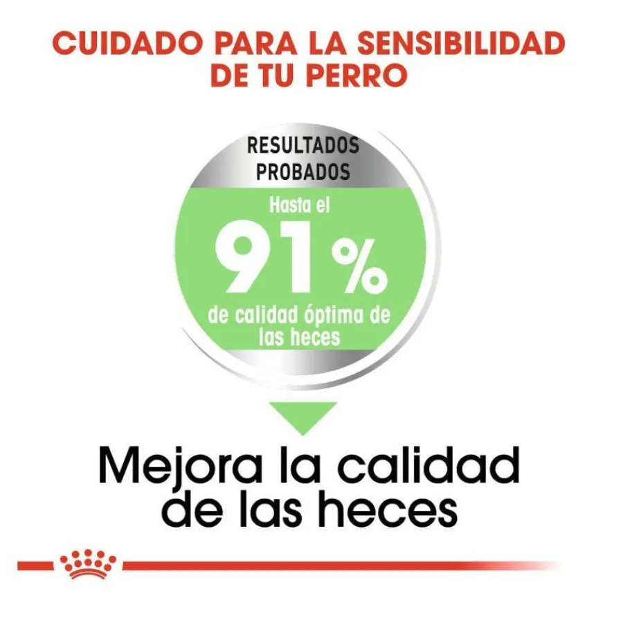 Royal Canin Digestive Care Medium pienso para perros Outlet