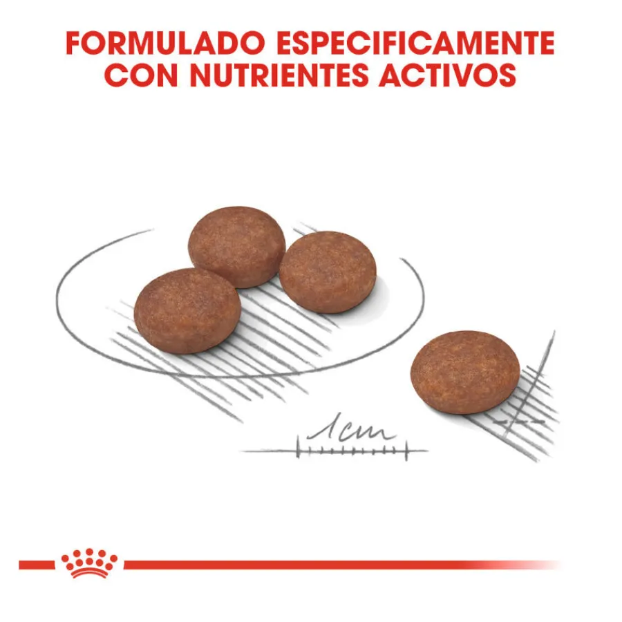 Royal Canin Digestive Care Mini pienso para perros Clearance