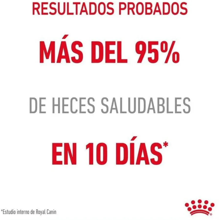 Royal Canin Digestive Sensitive sobre para gatos Sale