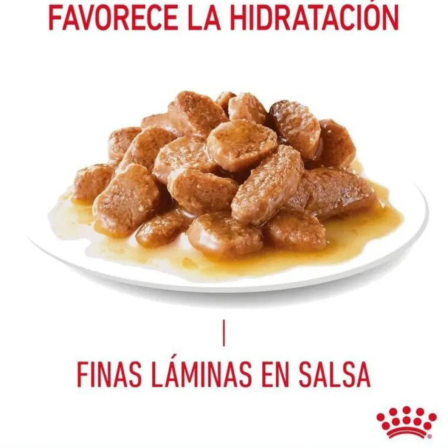 Royal Canin Digestive Sensitive sobre para gatos Sale