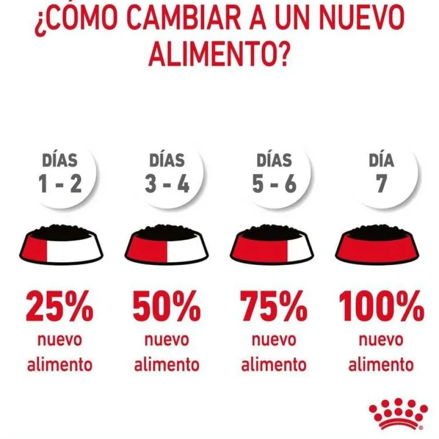Royal Canin Digestive Sensitive sobre para gatos Sale