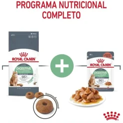 Royal Canin Digestive Sensitive sobre para gatos Sale