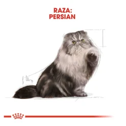 Royal Canin Feline Persian Adult sobres para gatos