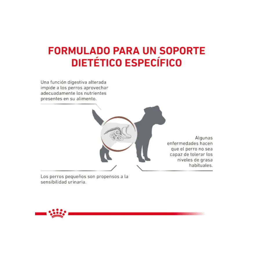 Royal Canin GastroIntestinal Low Fat pienso para perros pequeños New