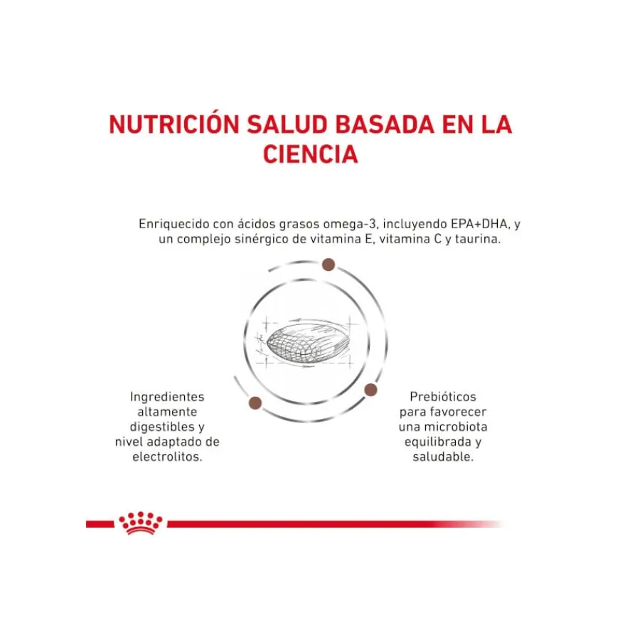 Royal Canin GastroIntestinal Low Fat pienso para perros pequeños New