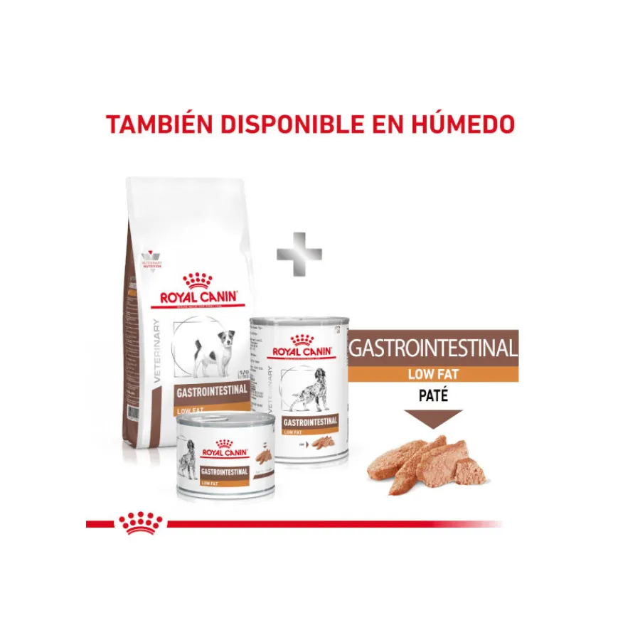Royal Canin GastroIntestinal Low Fat pienso para perros pequeños New
