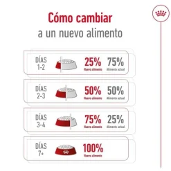 Royal Canin Giant Adult pienso para perros Hot