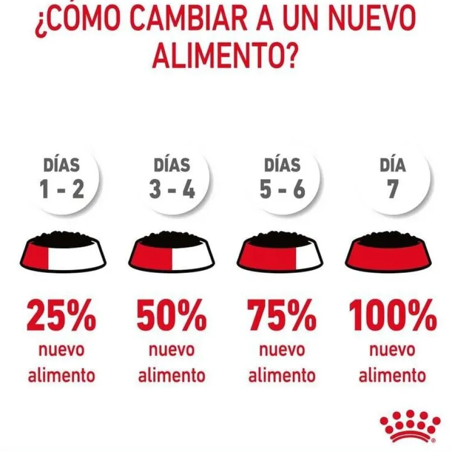 Royal Canin Hair and Skin sobre en salsa para gatos Sale