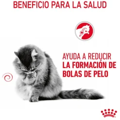 Royal Canin Hairball Care Sobre en Gelatina para gatos Hot