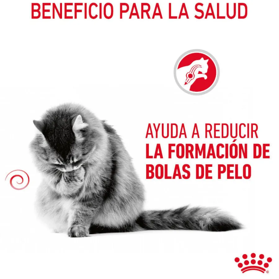 Royal Canin Hairball Care Sobre en Gelatina para gatos Hot