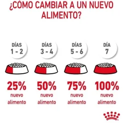Royal Canin HairySkin pienso para gatos Outlet