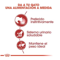 Royal Canin Instinctive gelatina sobres para gatos Discount