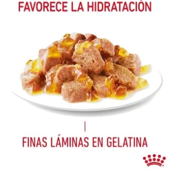 Royal Canin Intense Beauty gelatina sobre para gatos