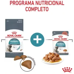 Royal Canin Intense Hairball pienso para gatos