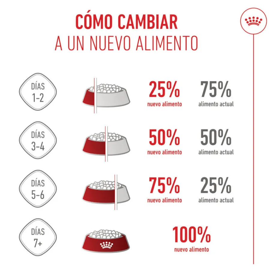 Royal Canin Junior Giant pienso para perros New