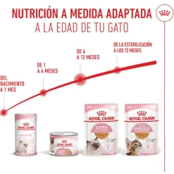 Royal Canin Kitten comida húmeda en gelatina sobre para gatitos Online
