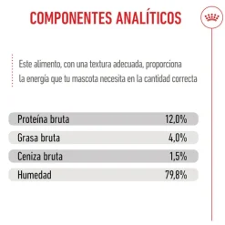 Royal Canin Kitten comida húmeda en gelatina sobre para gatitos Online