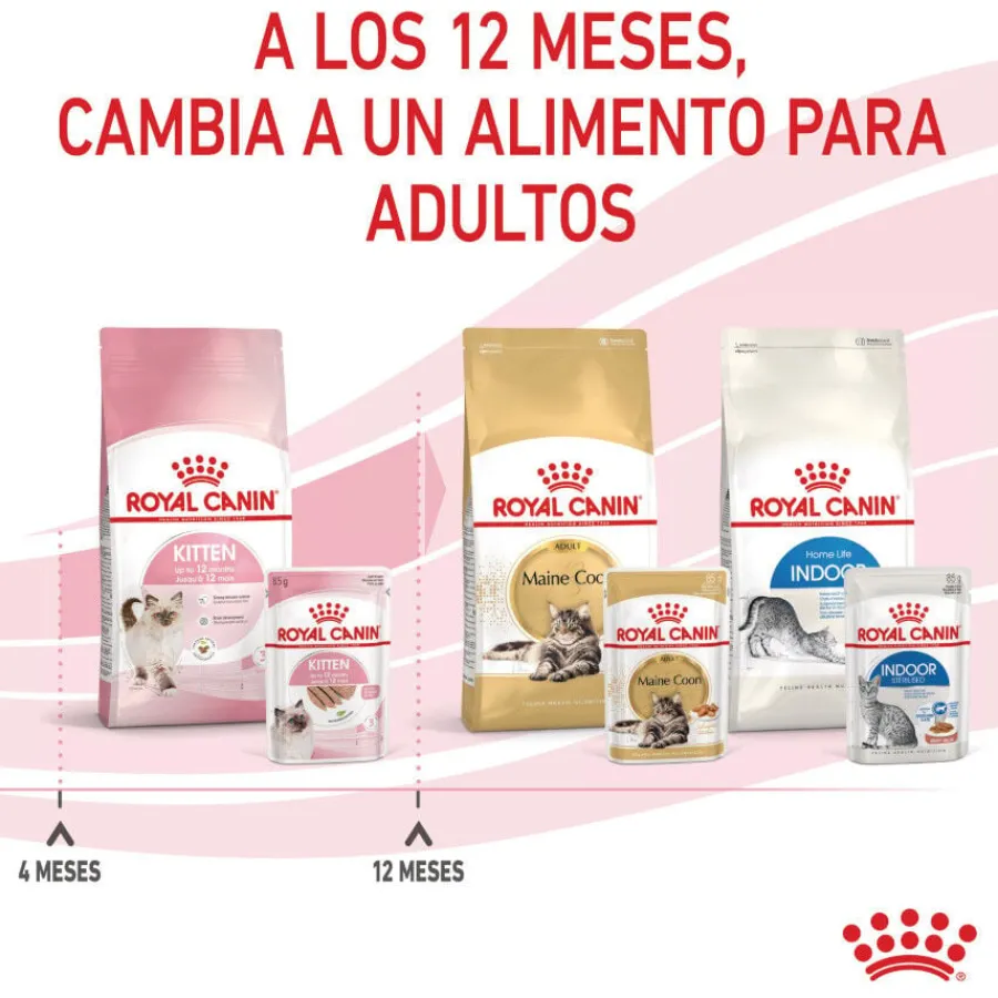 Royal Canin Kitten paté sobre para gatos Sale