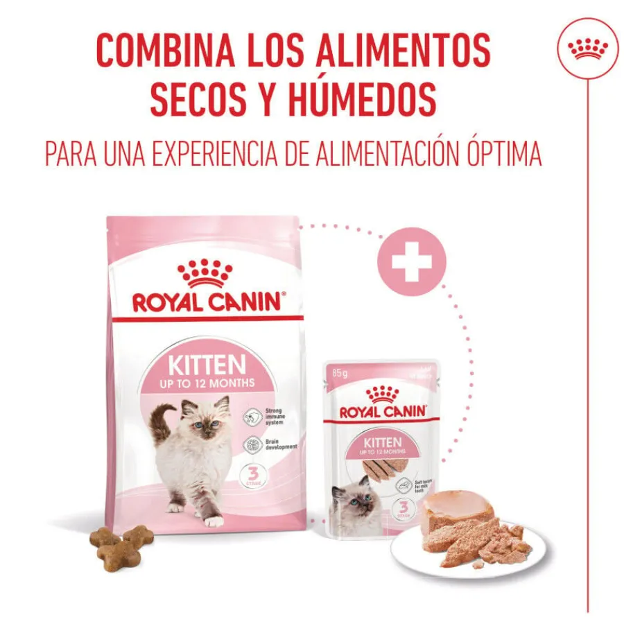 Royal Canin Kitten paté sobre para gatos Sale