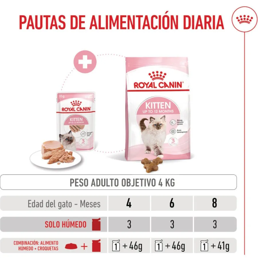 Royal Canin Kitten paté sobre para gatos Sale
