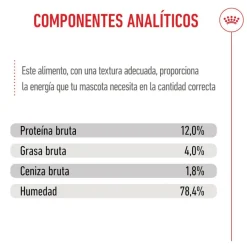 Royal Canin Kitten paté sobre para gatos Sale